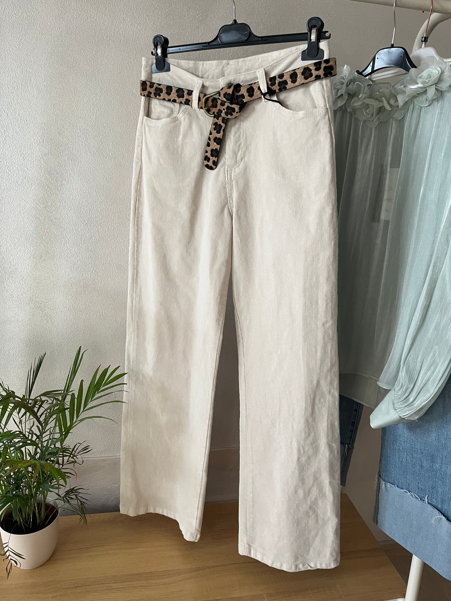Pantalone velluto